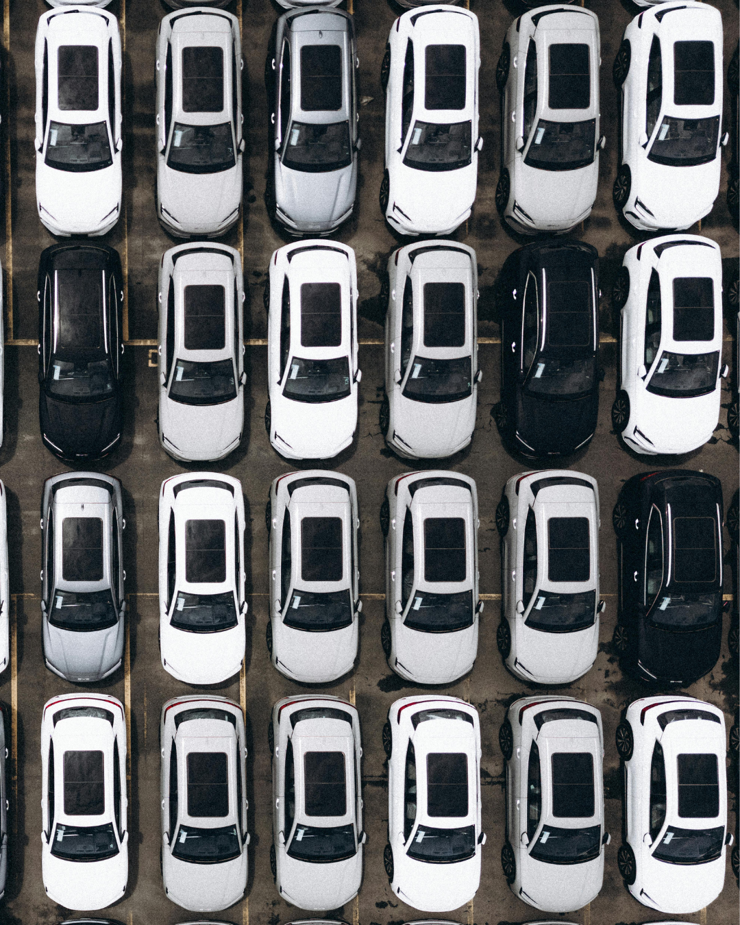 auto a uso promiscuo e strumentale le differenze
