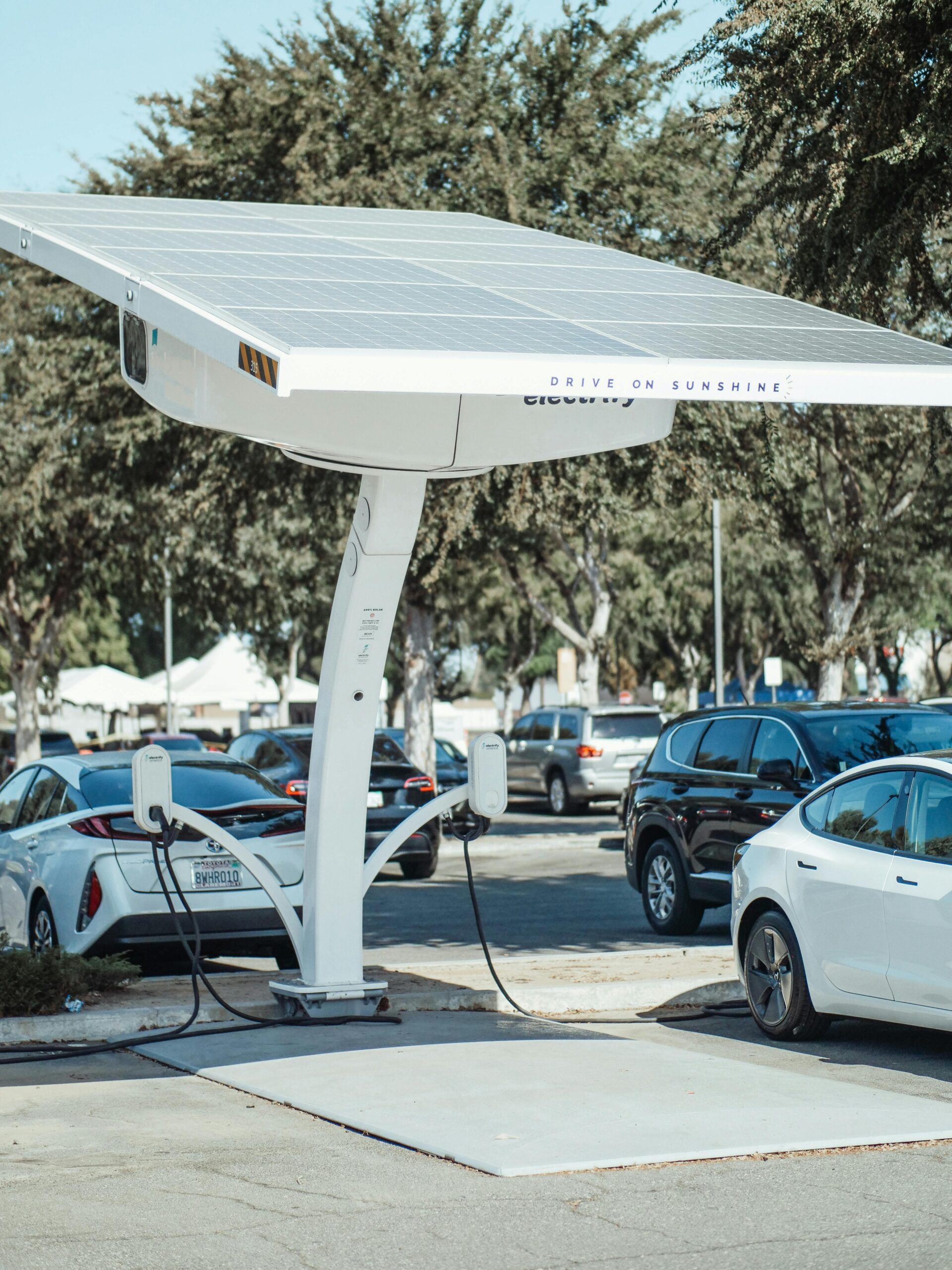 manutenzione delle flotte aziendali elettrificate